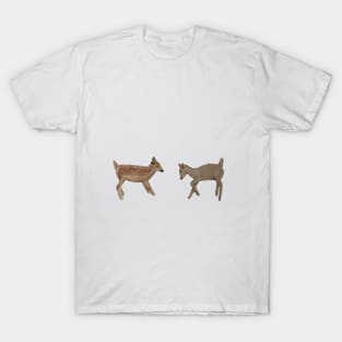 a deer and a lamb T-Shirt